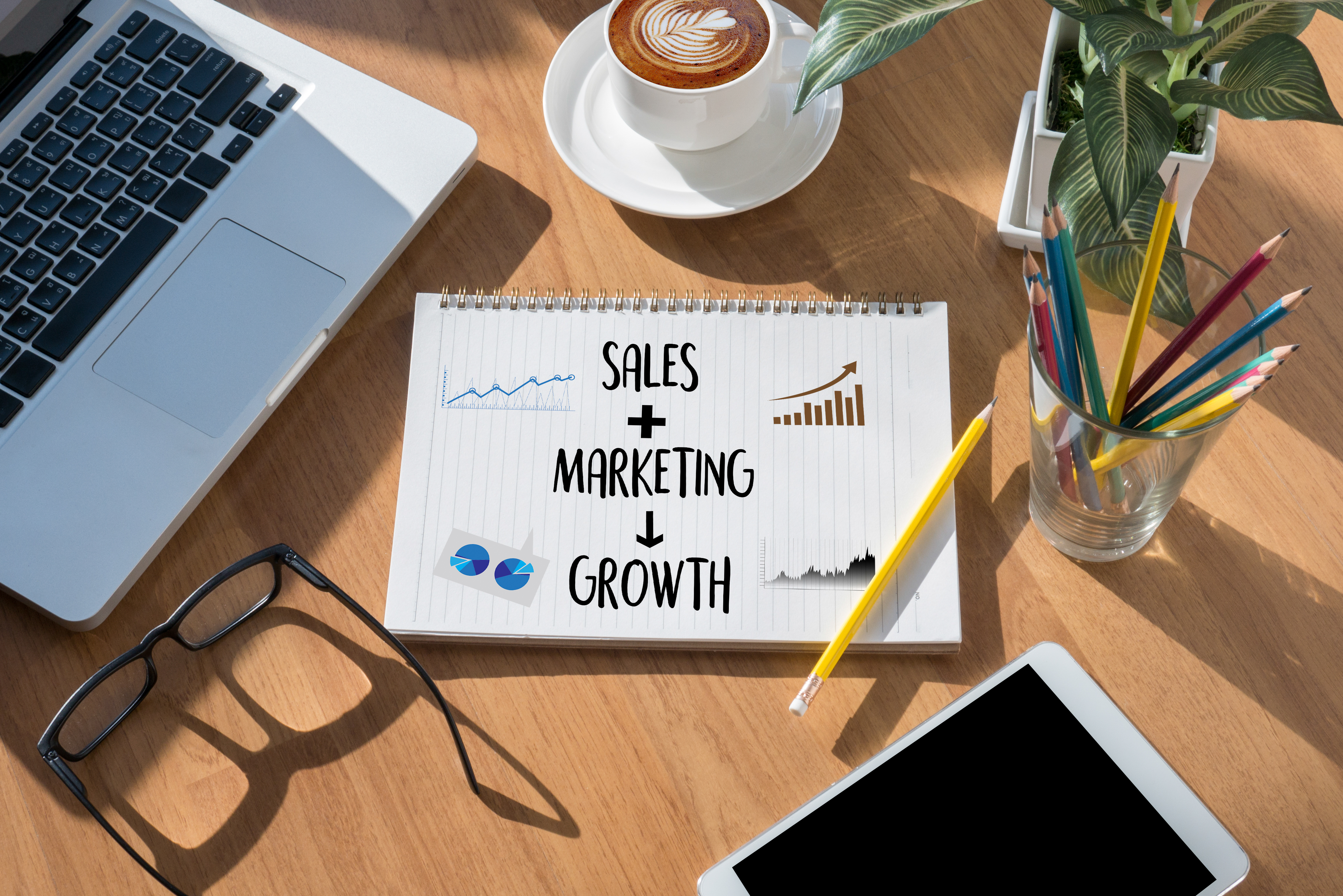 Sales Marketing Growth